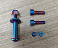 Ultra bee rear brake titanium bolt kit