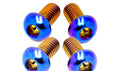Talaria 3x titanium controller mount bolts (set of 4)