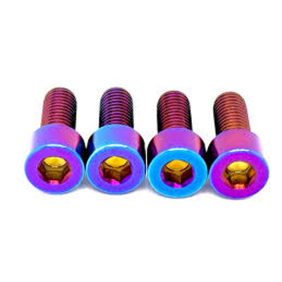 Talaria 3x titanium fork pinch bolts (set of 4)
